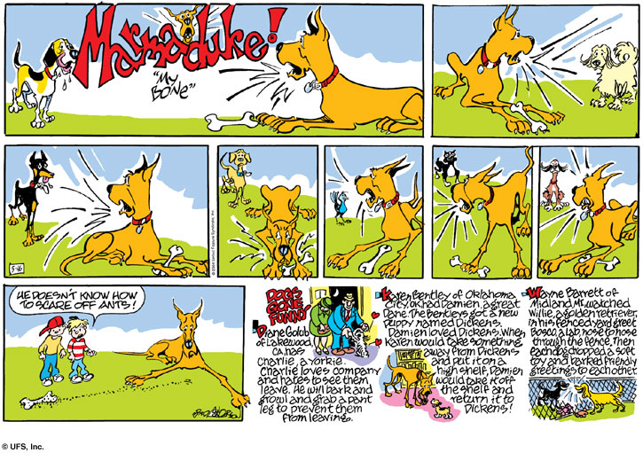 marmaduke